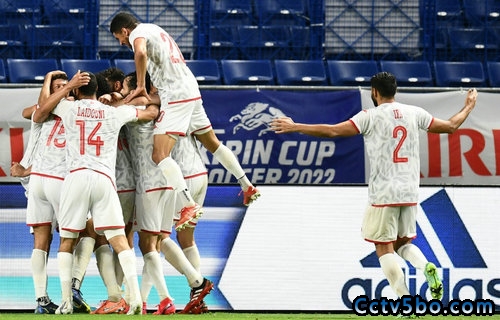 突尼斯3-0日本夺麒麟杯 加纳获季军