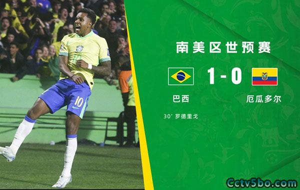 巴西  1 - 0  厄瓜多尔